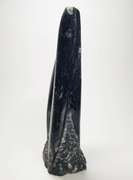 Substantial 2,540ct Orthoceras fossil cluster