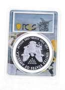 PR69 DCAM 2013-W American Silver Eagle - Graded PCGS