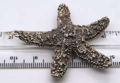 Vintage Sterling Silver Starfish Earrings
