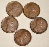 5 1909 VDB Type Lincoln Cents