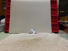 1925 Peace Dollar Uncirculated