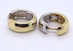 Favorite 2 Tone Gold Reversable Earrings