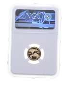 PF70 UCAM 2010-W $5 1/10 Oz. Gold American Eagle - Graded NGC