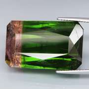 HUGE! 42.26ct collectors Watermelon Tourmaline