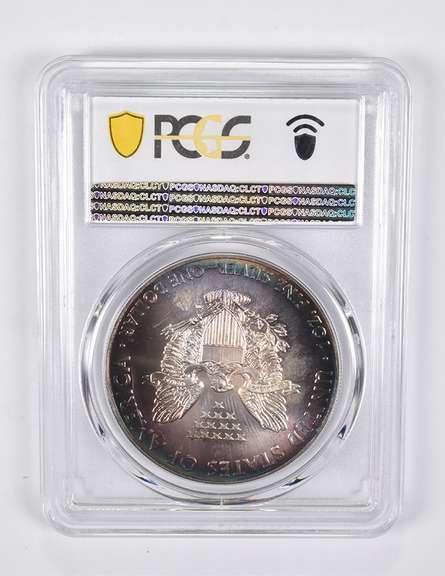MS67 2013 American Silver Eagle PCGS INSANE TONING