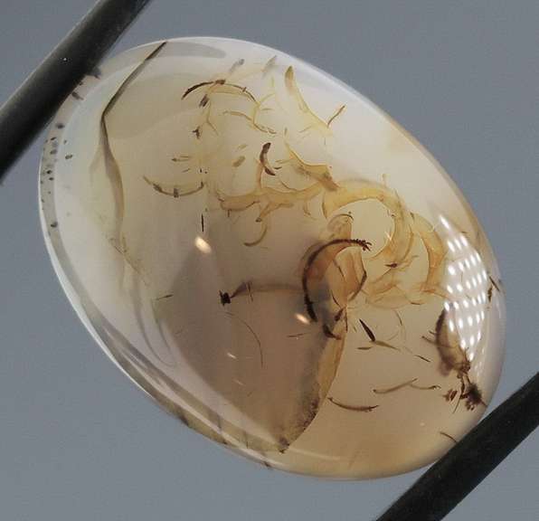 Stunning 18.47ct untreated patterned Agate