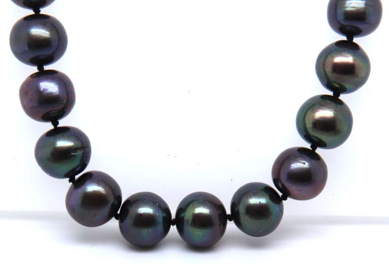 Black Fresh Water Pearl Necklace