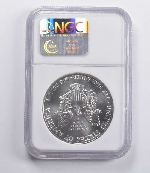 MS70 1989 American Silver Eagle NGC