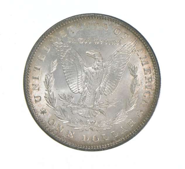 1900 Morgan Silver Dollar - Toned
