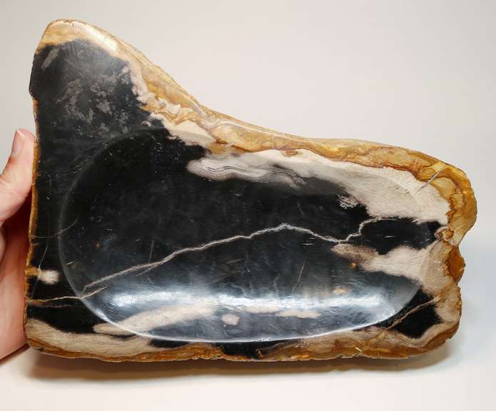 Statement piece! Petrified wood bowl weighing 2,740g