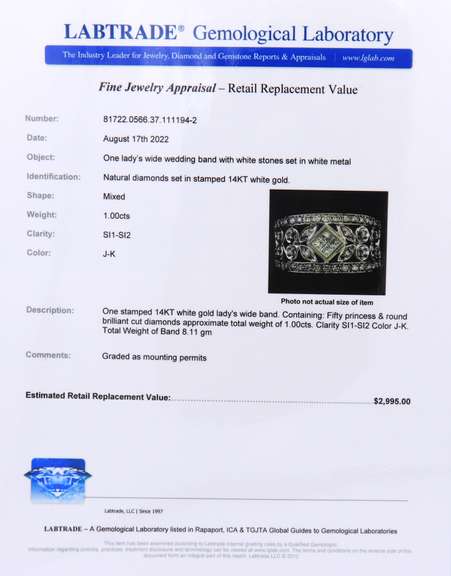 Dramatic White Gold Mixed Cut Diamond Migraine Floral Wide Diamond Band