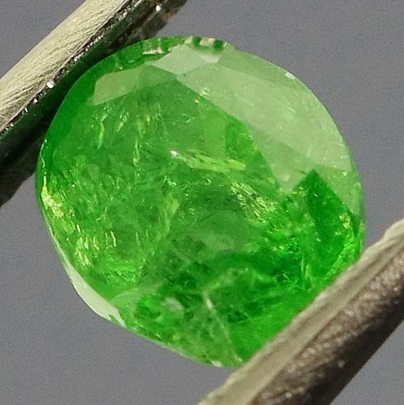 Collectors .74ct vivid kelly green Tsavorite Garnet