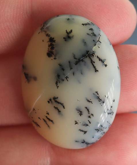 Dramatic! 33.09ct Turkish Dendrite Opal
