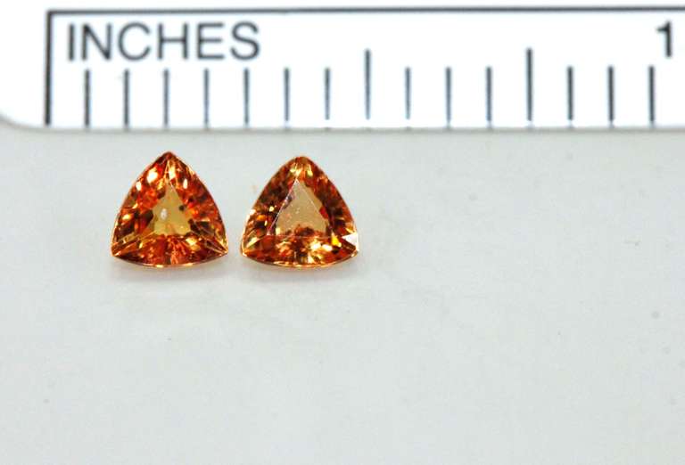 Warm, Sparkling Natural Golden Sapphire Pair