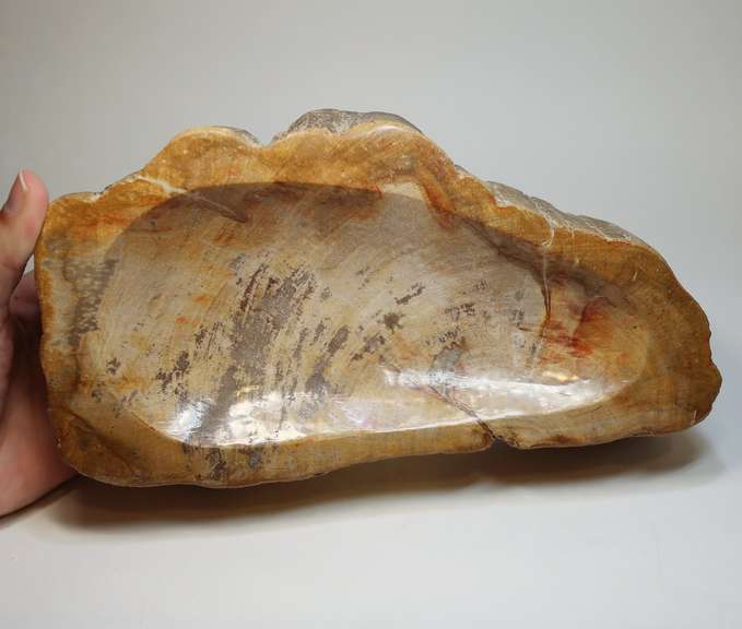 Well marbled petrified wood bowl weighing 2,806g