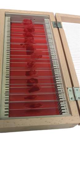 Dexter Cast Autographed Custom Blood Glass Slides Case ACOA