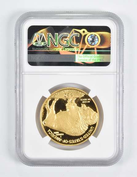 Error PF69 UCAM 2007-W $50 Gold Buffalo 1 Oz Gold OBV Struck Thru NGC