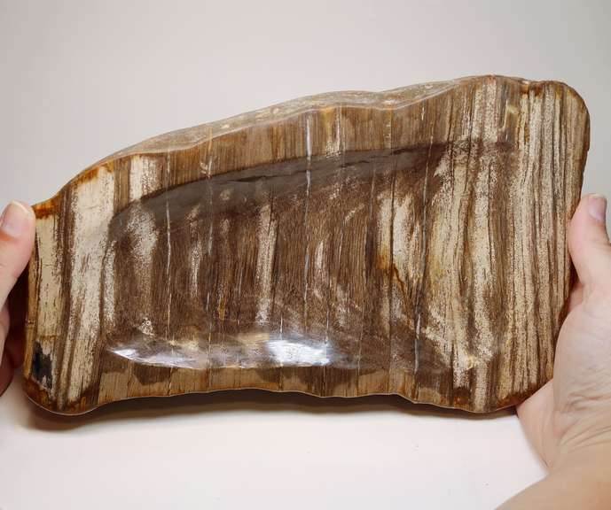 Tiger striped! Petrified wood bowl weighing 3,312g
