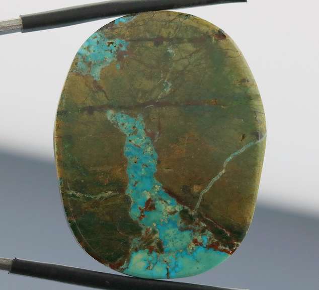 Huge! 47.5ct well marbled robbins egg blue Turquoise