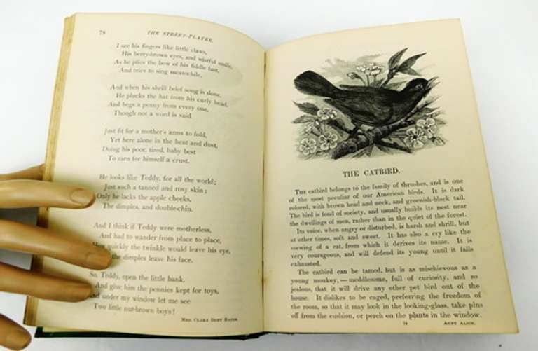 1878 The Nursery for Youngest Readers Antique Book