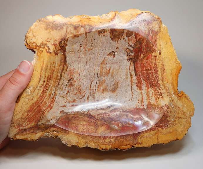 Well marbled petrified wood bowl weighing 2,623g