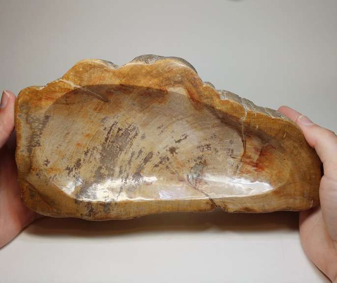 Well marbled petrified wood bowl weighing 2,806g