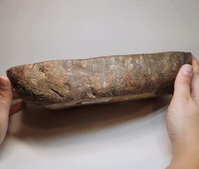 Tiger striped! Petrified wood bowl weighing 3,312g