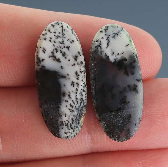 Exotic 20.82ct Turkish Dendrite Opal pair