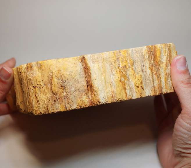 Well marbled petrified wood bowl weighing 2,623g