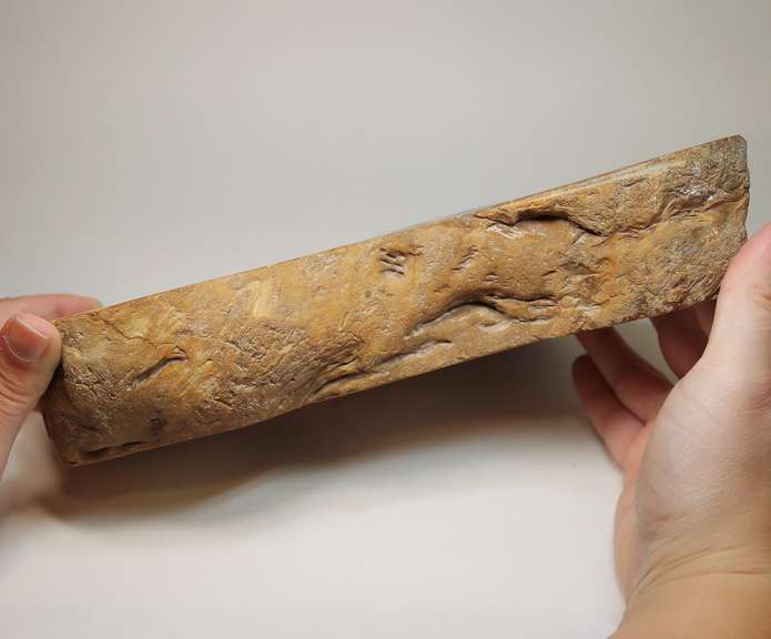 Statement piece! Petrified wood bowl weighing 2,740g