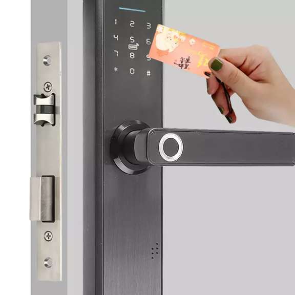 Electronic Smart Door Lock Biometric Digital