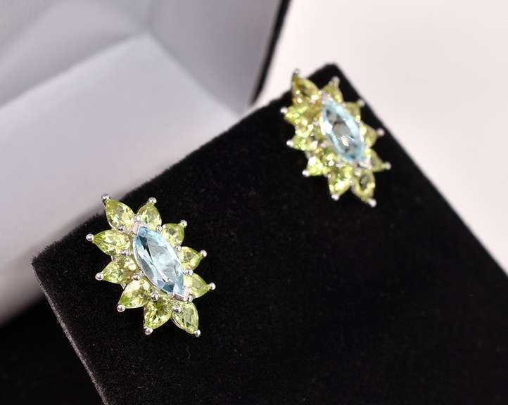 Striking Blue & Green Silver Earrings