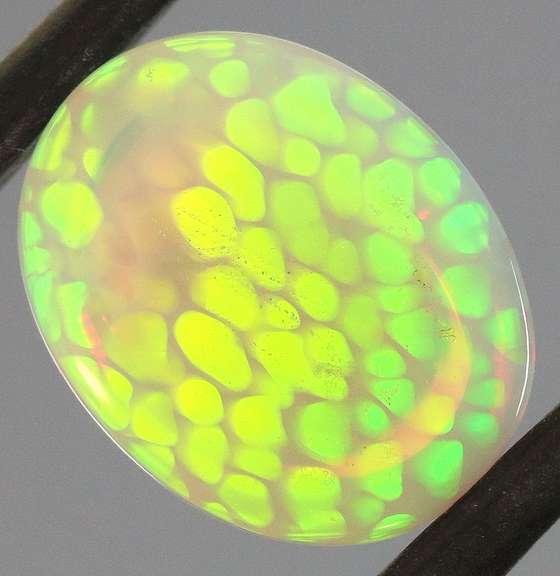 Collectors 2.69ct double sided jelly Opal