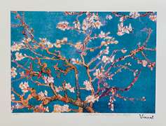 Vincent Van Gogh, Almond Blossoms