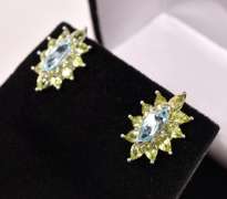 Striking Blue & Green Silver Earrings