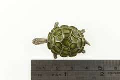 800 Silver 3D Turtle Green Enamel Tortoise Animal Pin/Brooch