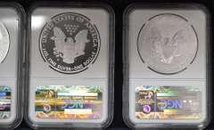 2011 25th Anniversary American Eagle Set PCGS 70