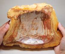 Well marbled petrified wood bowl weighing 2,623g