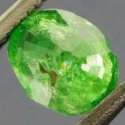 Collectors .74ct vivid kelly green Tsavorite Garnet