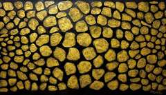 Saeideh Gilani Original Acrylic on Canvas Play with Black Series