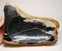 Statement piece! Petrified wood bowl weighing 2,740g