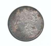 1896 Morgan Silver Dollar - Great Tone