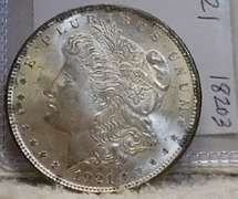 1921 Morgan Dol  Unc