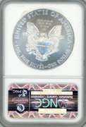 2010 Early Releases American Silver Eagle in NGC MS69