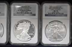 2011 25th Anniversary American Eagle Set PCGS 70