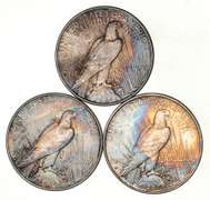 Lot (3) 1934-D Peace Silver Dollars - Beautiful Tone