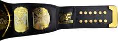 Ric Flair Autographed World Championship Winged Eagle Metal Leather Belt ACOA