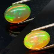 Glowing! 2.82ct full cover floral pattern Jelly Opal