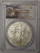 2013 American Silver Eagle PCGS MS69 FirstStrike.