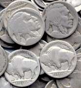 200 Plus No Date Buffalo Nickels